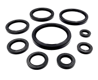 Комплект уплотнений Seal kit 54900040300 WDR